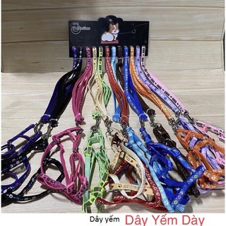 Dây dắt chó mèo đi dạo kèm yếm (dưới 5kg)