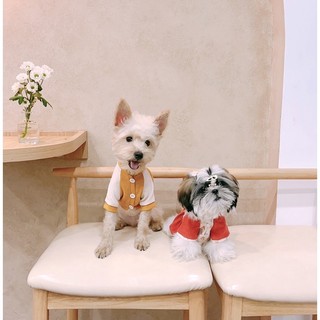 ÁO DÀI TẾT 🧧🧧🧧 (Quần áo thú cưng)