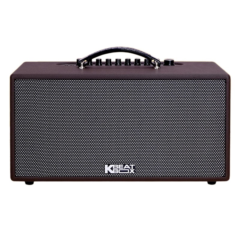 Loa Karaoke Acnos Cs391