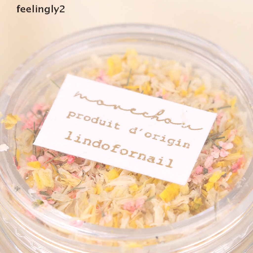 [Hàng Có Sẵn] Hộp Hoa Khô 3D Trang Trí Móng Tay Nghệ Thuật Tinh Tế DIY Tinh Tế