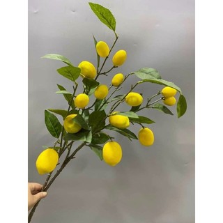 Cành quả giả - cành chanh thân dài quả to decor trang trí nhà cửa | hà hoa flower