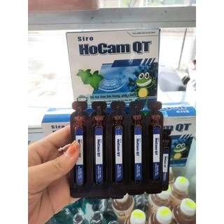 THỰC PHẨM BẢO VỆ SỨC KHOẺ HOCAM QT