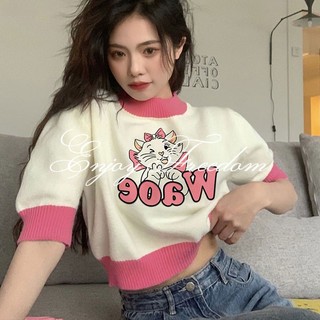 Áo Thun Croptop Dệt Kim Thời Trang Hàn Quốc 2023 Cho Nữ