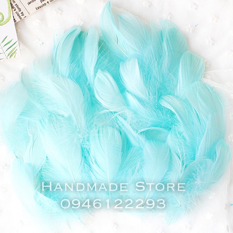 Lông vũ nhiều màu  🌈🌈🌈🌈