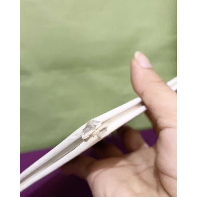 Teddy bear counting vintage dễ thương