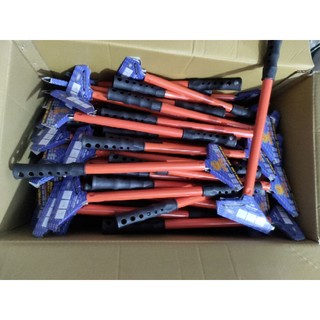 cây sủi tường,sủi thạch cao,sủi bột