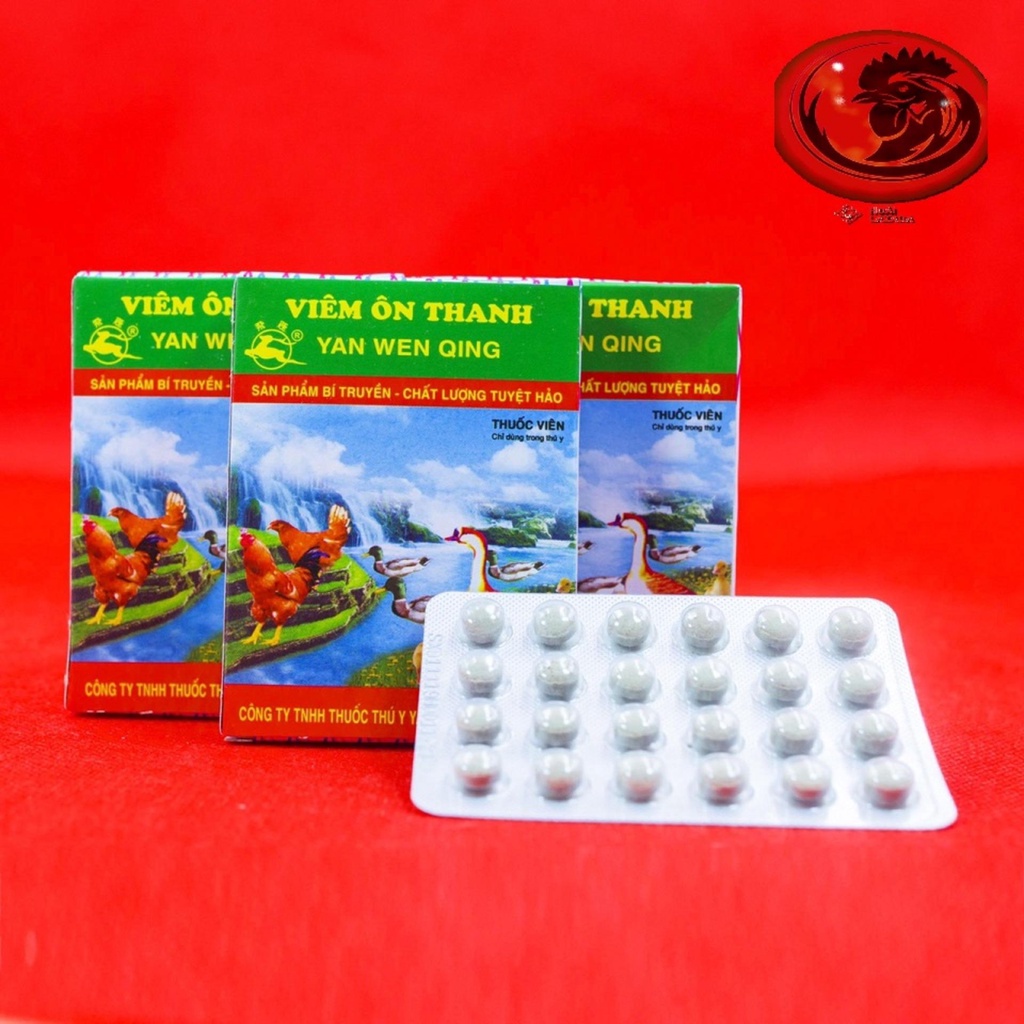 Viêm ôn thanh 1 hộp 24 viên