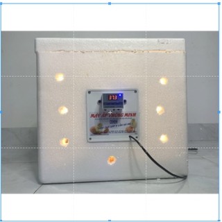 Máy Ấp Trứng Chuyên Dụng 2023