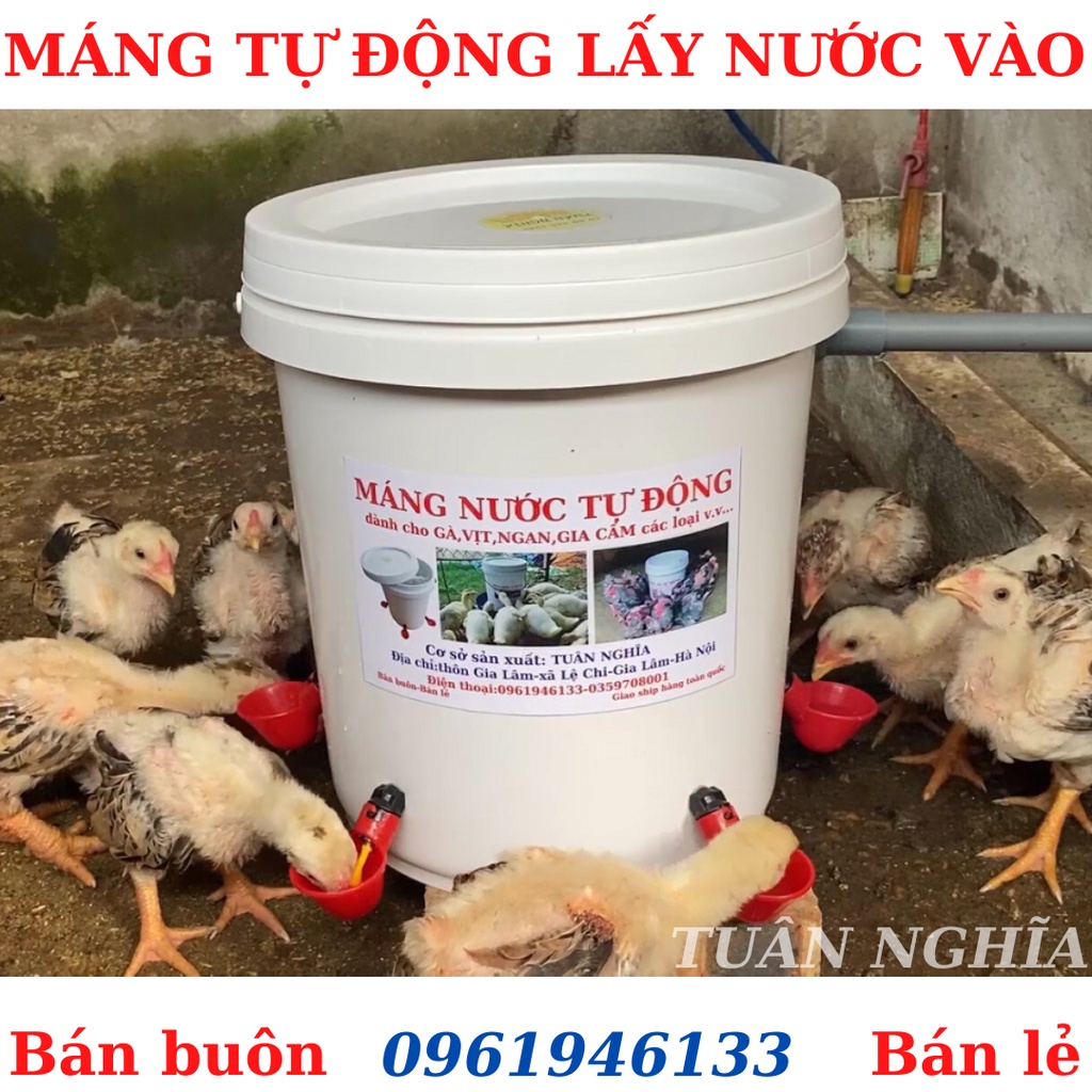 MÁNG UỐNG NƯỚC TỰ ĐỘNG CHO GÀ,VỊT,NGAN DẠNG CỐC LOẠI XỊN SIÊU BỀN.