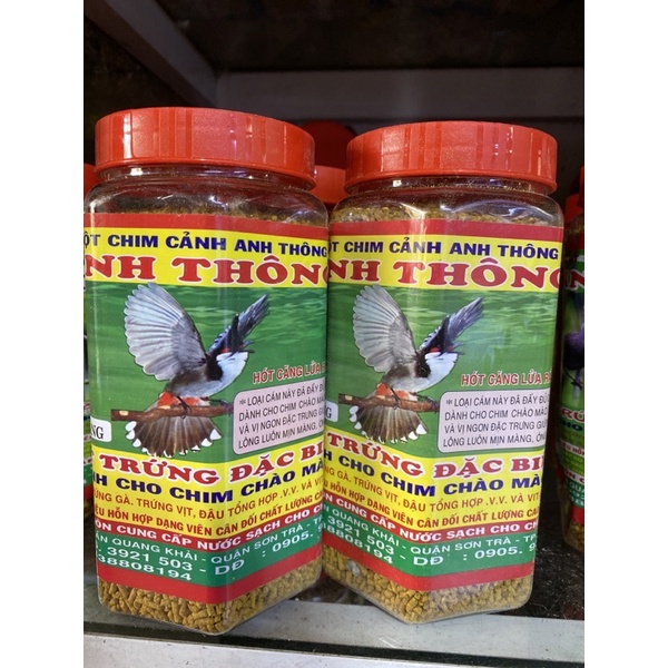 Cám Chào Mào Anh Thông