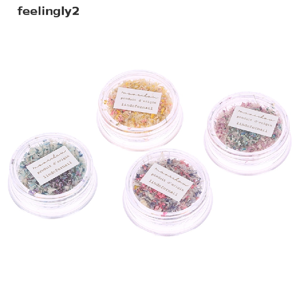 [Hàng Có Sẵn] Hộp Hoa Khô 3D Trang Trí Móng Tay Nghệ Thuật Tinh Tế DIY Tinh Tế