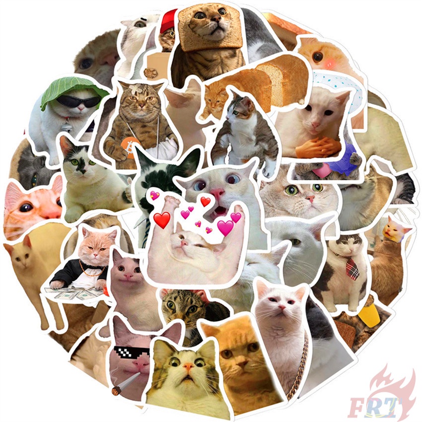Combo 50 Sticker MÈO MEME DỄ THƯƠNG GỢI ĐÒN CUTE hình dán chống nước dán mũ bảo hiểm, laptop, vali, điện thoại, guitar