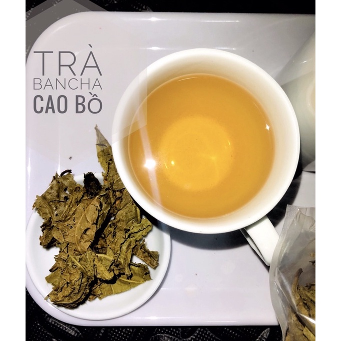 trà ban cha cao bồ 100gr (chè cổ thụ shan tuyết) tự nhiên không có chất bảo quản