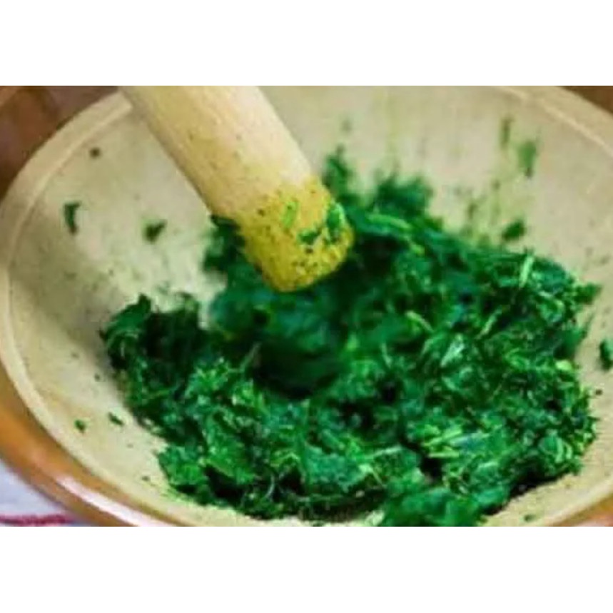 Cây ngải dại tươi, khô - cây mọc tự nhiên, phơi tay thơm ngon sạch sẽ loại 500g