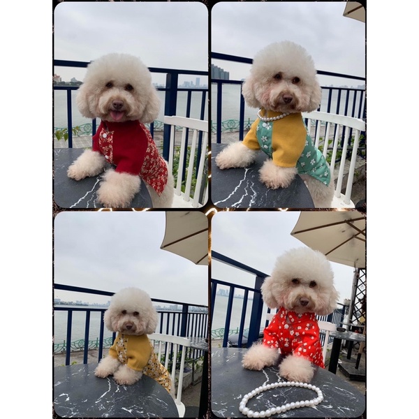 New‼️Áo dài vải gấm hoa cực xinh cho cún miu 😍😍