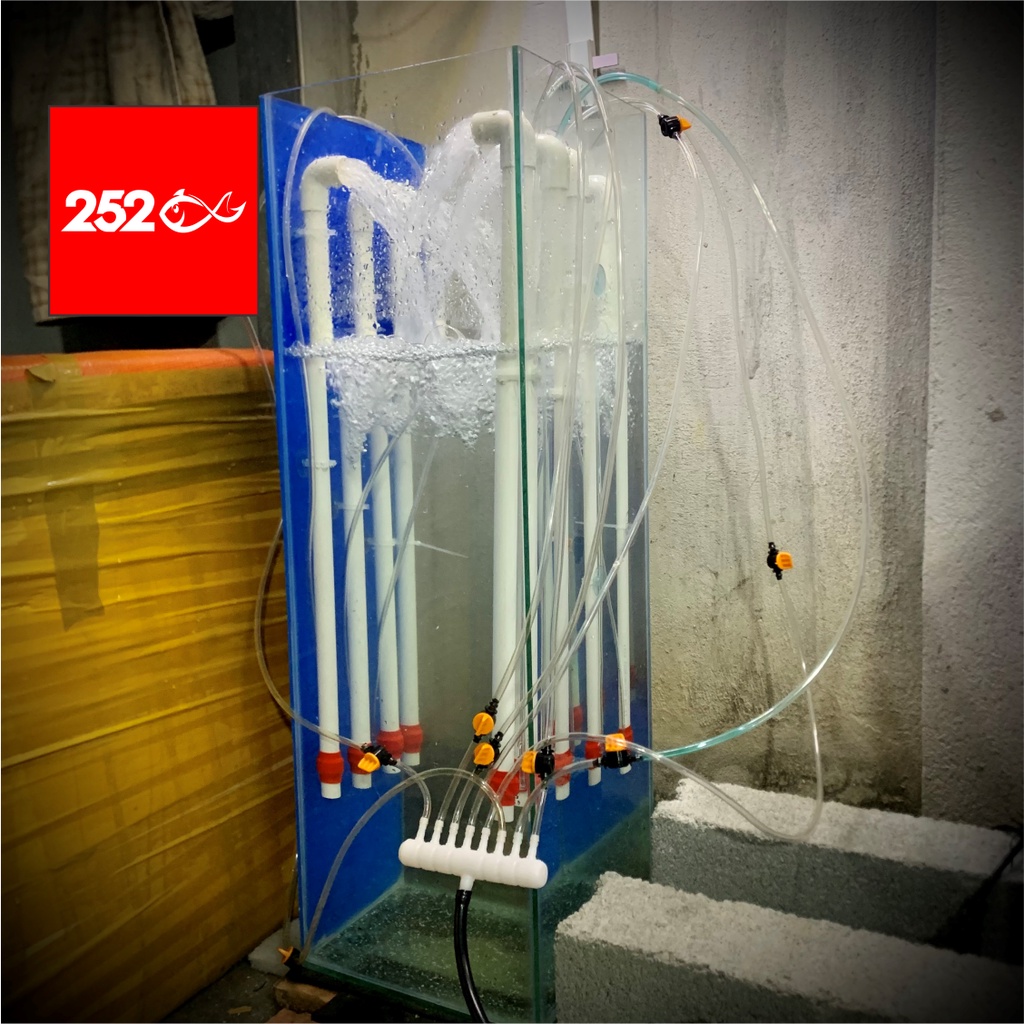 Ống Airlift fi 20 Siêu Mịn Bơm Nước Hồ Cá Bằng Máy Sủi Oxy