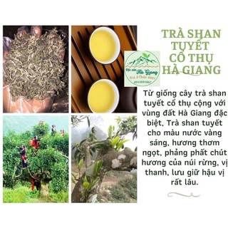 [Tặng 100g Táo đỏ Tân Cương] Trà Shan tuyết cổ thụ Hà Giang vụ xuân, hương thơm, hậu ngọt 1kg