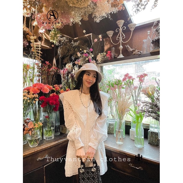 Váy Sơmi Cổ Ren Thuyvantran Ashley