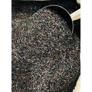 1 KG Gạo lứt đen dẻo Điện Biên loại đặc biệt Thơm Ngon