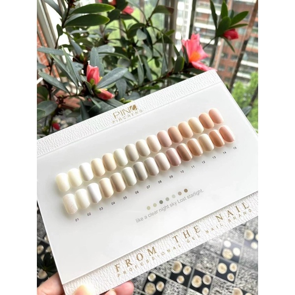Set sơn gel màu trắng kem trắng sữa KAYANLUN 15 màu siêu tây