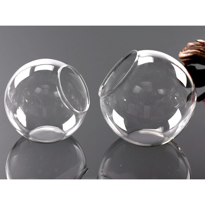Chậu Kính Trồng Cây Mọng Nước 12cm