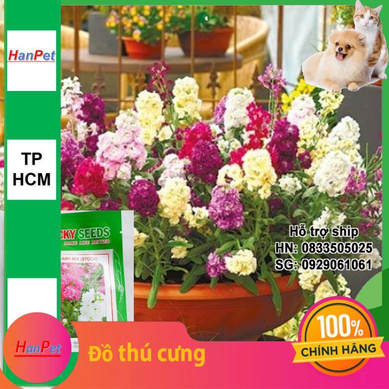 HCM-(HOA TRONG NHÀ) Hạt giống hoa Hoàng anh loại thân lùn (Đức) (combo 50 hạt đủ màu) loại phù hợp khí hậu nhi