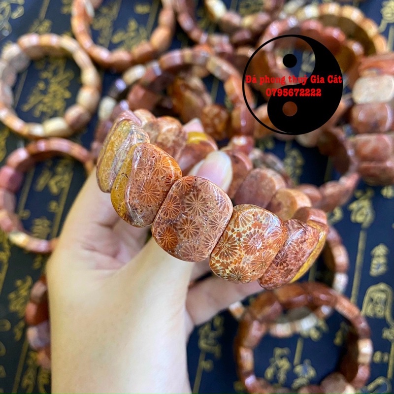 Vòng bản san hô hoá thạch 20 li đẹp chuẩn kiểm định