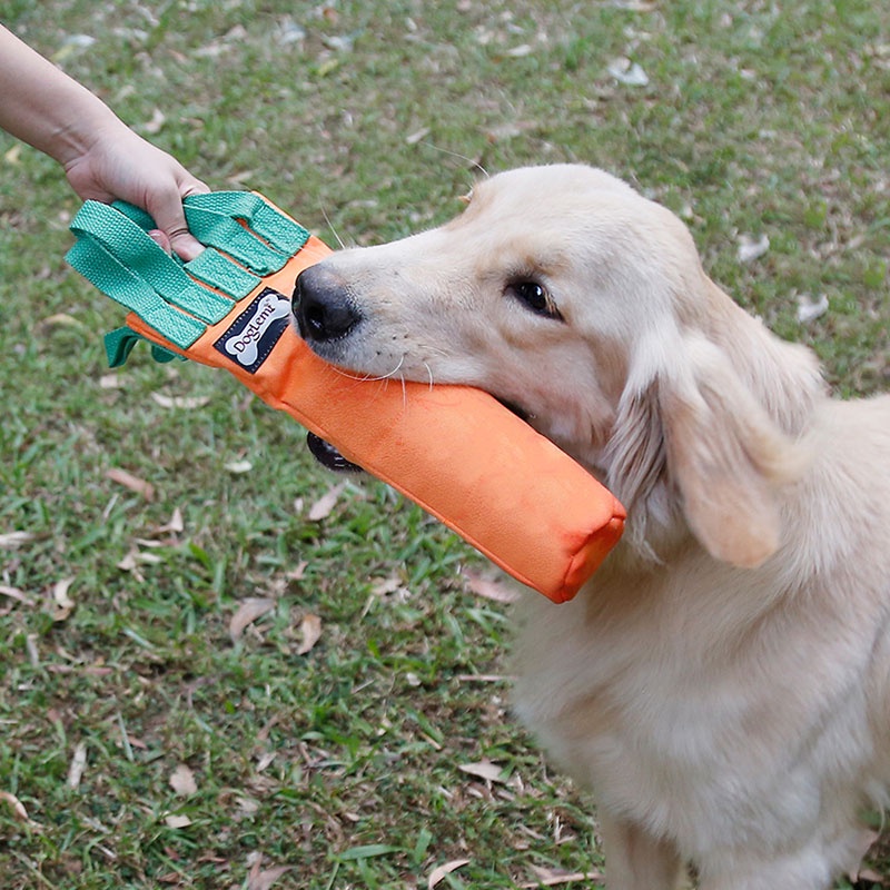 HamshMoc Đồ Chơi Giải Đố Hỗ Trợ Huấn Luyện Thú Cưng Giảm Căng Thẳng Đa Năng