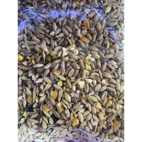 Lúa Trộn Cho Chim - Gói 500g