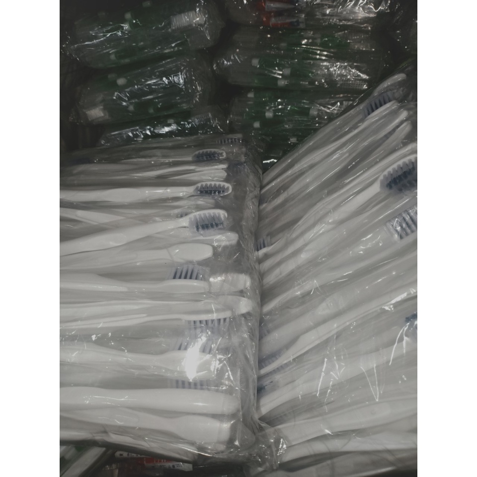 100 Bàn Chải Đánh Răng cho nhà nghỉ, khách sạn...
