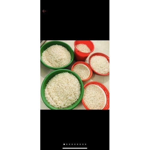 Hạt đác tươi to đại bự