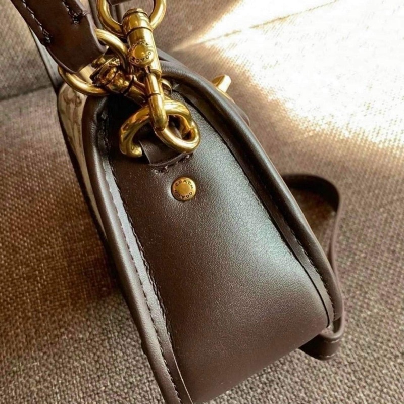Túi đeo vai Coach Swinger Bag dư xịn