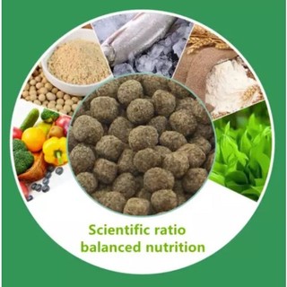 Thức ăn cá koi nutrigreen no2 cám cá koi tăng màu