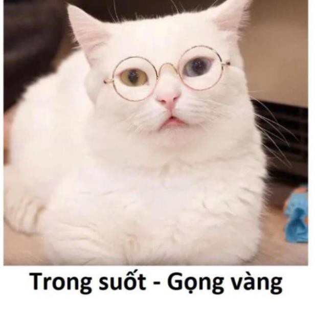 HCM Mắt Kính chó mèo gọng vàng kính mát cho thú cưng chống tia UV (One size)