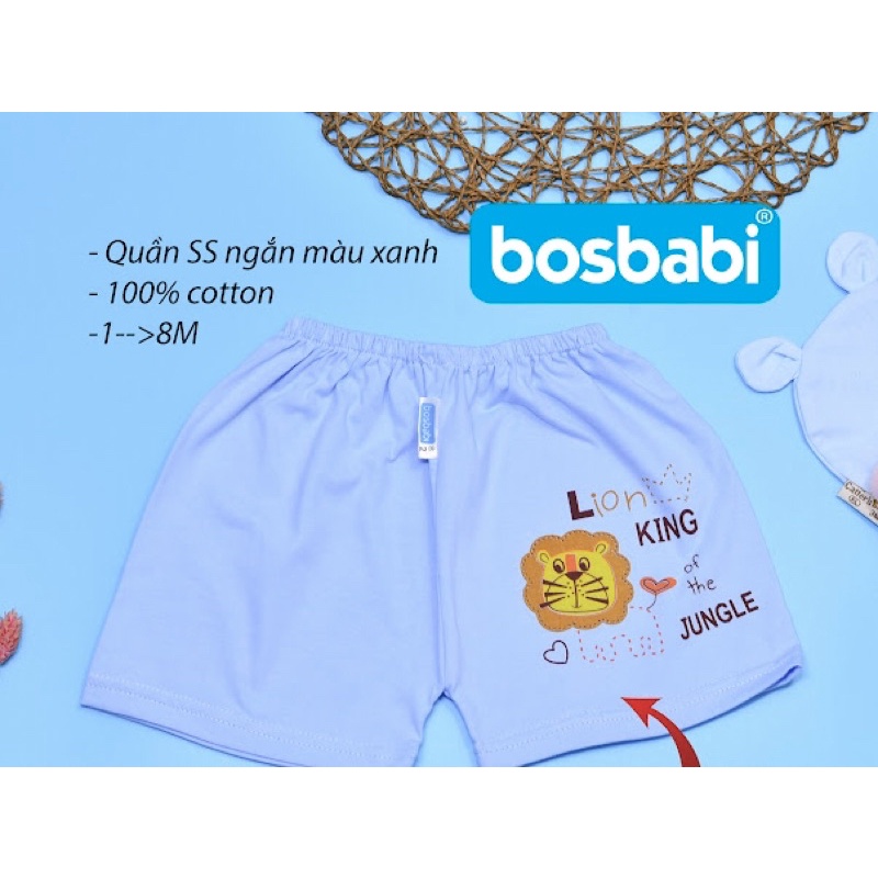 SET 5 QUẦN ĐÙI BOSBABI CHO BÉ TỪ 1-8