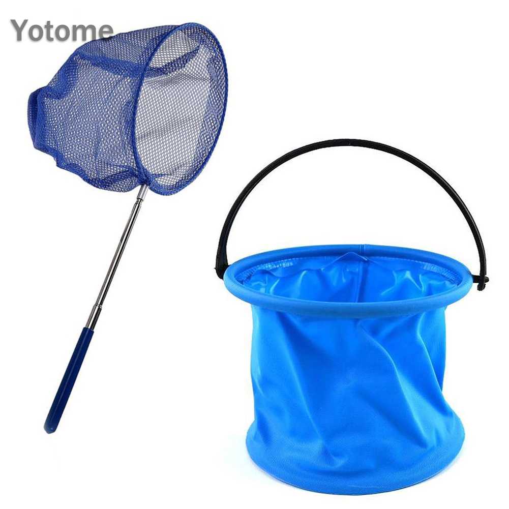 Vợt Lưới Bắt Bướm, Côn Trùng Cho Trẻ