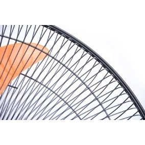 Quạt treo Asia L20002 GDPT