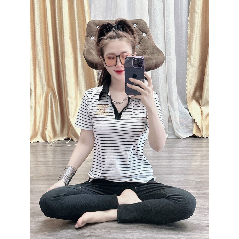 Set Thun Gân Cổ Bẻ Co Giãn - Phối Sọc Đơn Giản - Logo Thêu - SP Y Hình