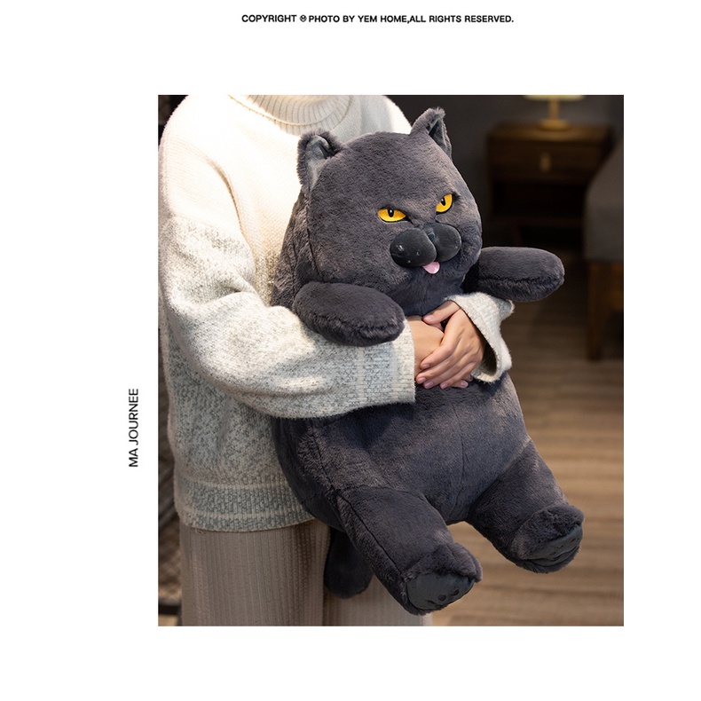 Thú Nhồi Bông Hình Chú Mèo Đen / Xanh / Chữ Tiếng Anh Trang Trí Nhà Cửa / Văn Phòng