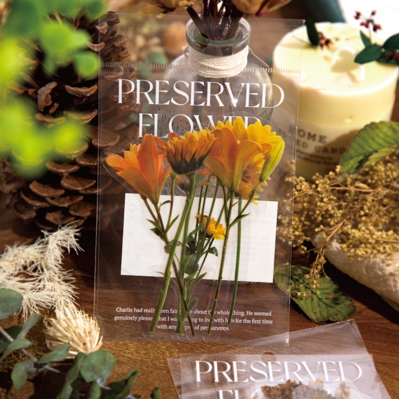 Set sticker nhãn dán PET hoa cỏ thiên nhiên vintage cổ điển trang trí sổ bullet journal