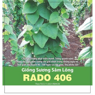 Hạt giống sương sâm lông rado 406 10 hạt