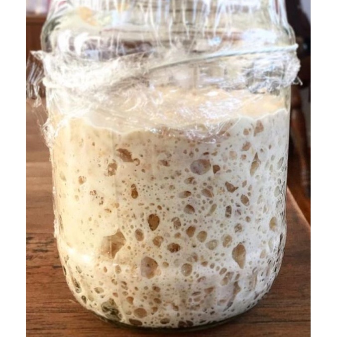 Men sourdough 300 năm tuổi tặng kèm công thức nuôi men và men khô