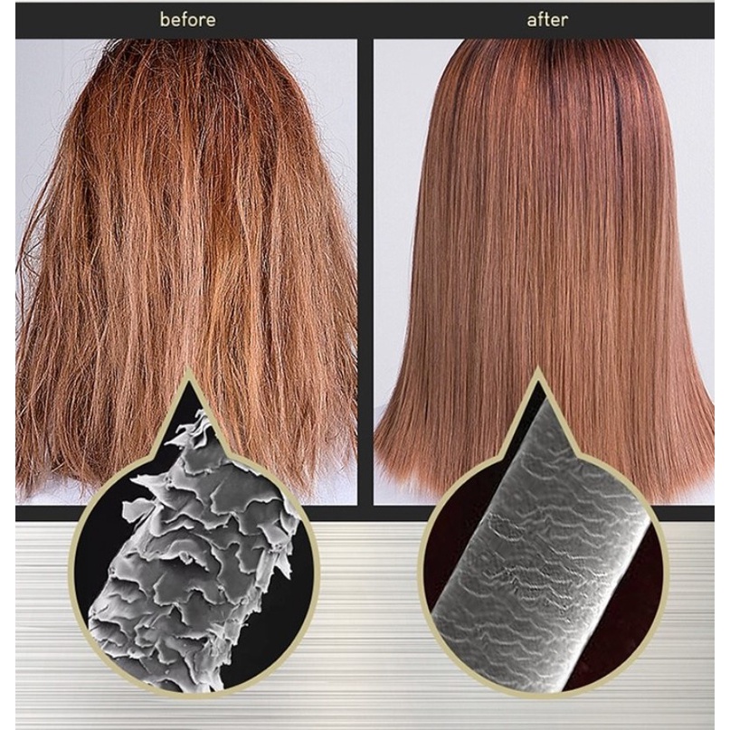 Dầu gội, xả cho tóc khô xơ Hair Plus Protein 1000ml, 700ml