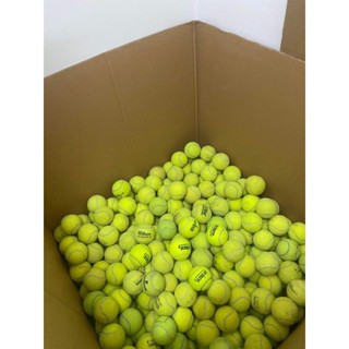Banh Bóng Tennis Cũ Còn Đẹp,Tặng Hộp Đựng Banh Wilson