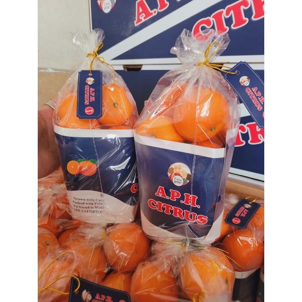 🍊🍊QUÝT A.P.H Citrus 🍊🍊