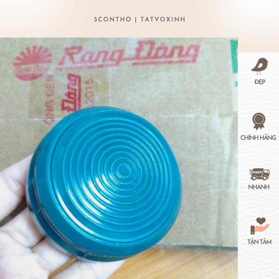 Nắp phích Rạng Đông 2L xuất khẩu 2035N1