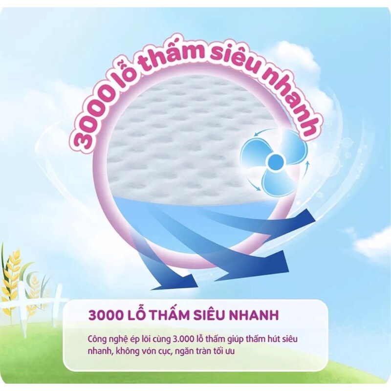 Tả quần BOBBY size L96+12 miếng gói gạo non mới