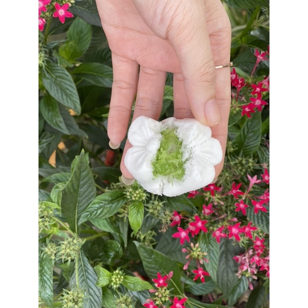 Bánh in dẻo nhân dừa non 1KG