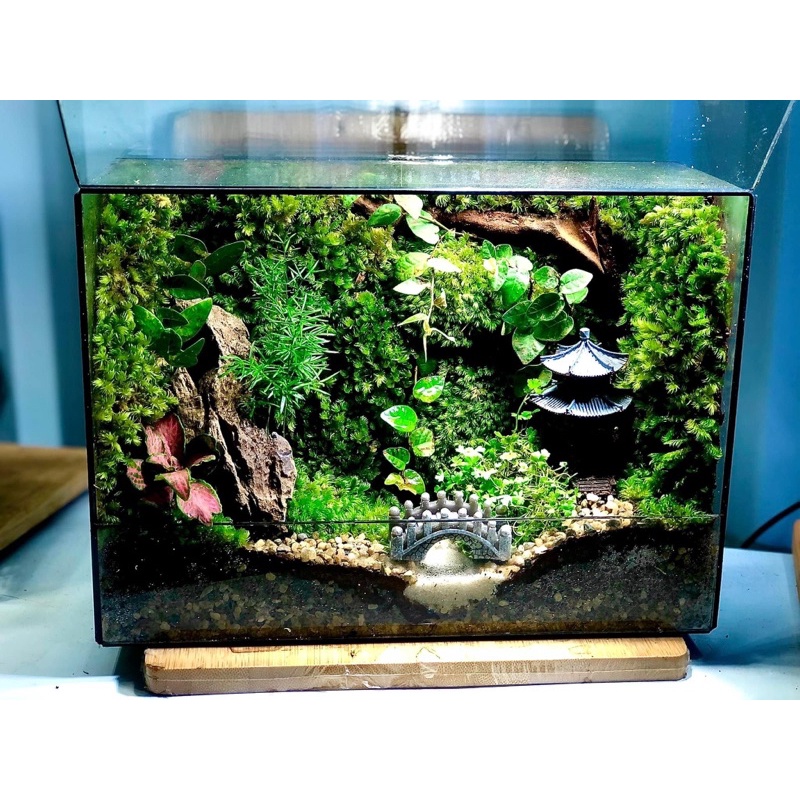Tượng chòi trang trí tiểu cảnh, terrarium