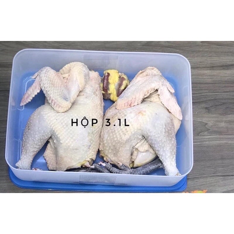 Hộp trữ đông 3.1L